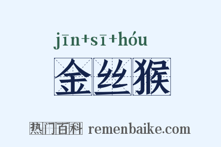 金丝猴是什么意思的图片